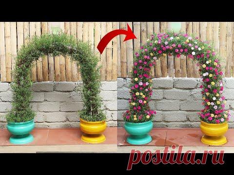 Красивые идеи цветочных ворот для сада из пластиковых бутылок