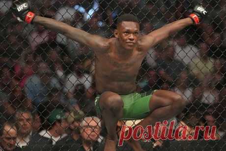 Чемпионы UFC попали в аварию перед турниром в США. Автобус, в котором находились новозеландский боец смешанного стиля (MMA) Исраэль Адесанья и австралиец Александр Волкановски, попал в аварию в США. Инцидент произошел в Нью-Йорке. Автобус врезался в пожарный гидрант на пути в «Мэдисон Сквер Гарден», где проходила пресс-конференция перед турниром UFC 281.
