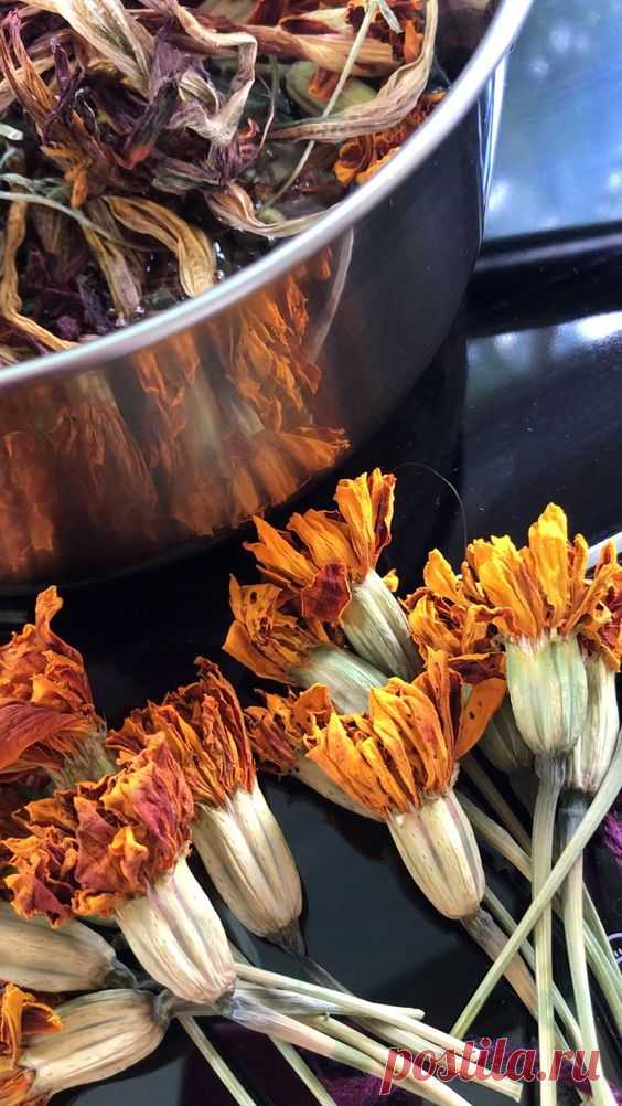 Beginner's Guide to Natural Dyes - La creative mama