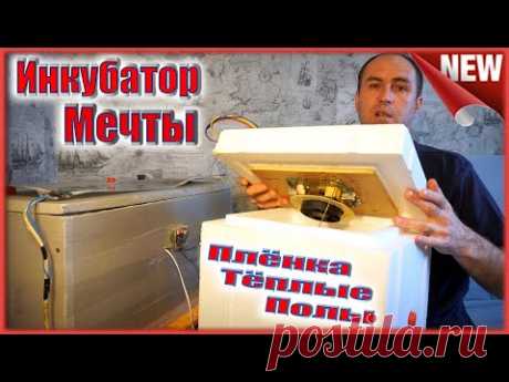 Инкубатор моей мечты. Выводимость 100%.  Минусы плёнки.  Инфракрасный теплый пол.