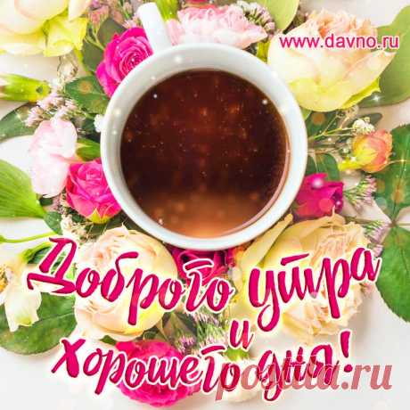 С добрым утром и хорошего дня! Доброго солнечного дня!   Открытка №13007 по теме Открытки с добрым утром.. Скачайте на телефон или компьютер.