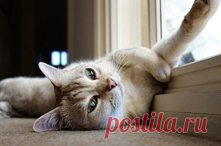 Inspired Mindz - Co-Inside :: forumroditeley.ru - форум родителей и о детях