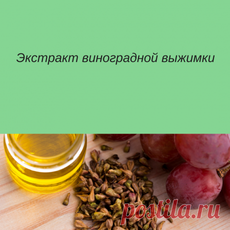 Красный виноград.
Виноград отличается не только своей красотой и вкусом плодов, его составляющие являются богатым источником здоровья и жизненных сил. На протяжении многих веков люди применяли лекарственные качества винограда для борьбы против всевозможных заболеваний.