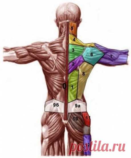 Проекция психосоматических проблем на теле