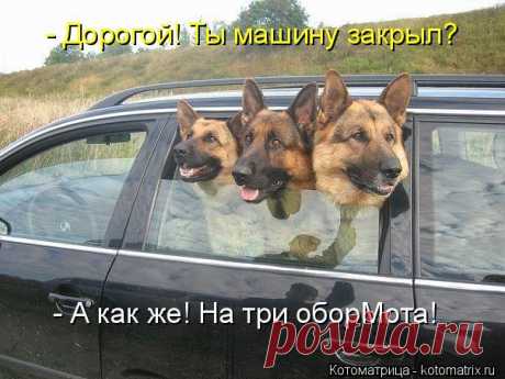 Котоматрица: - Дорогой! Ты машину закрыл? - А как же! На три оборМота!