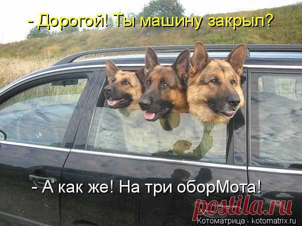 Котоматрица: - Дорогой! Ты машину закрыл? - А как же! На три оборМота!