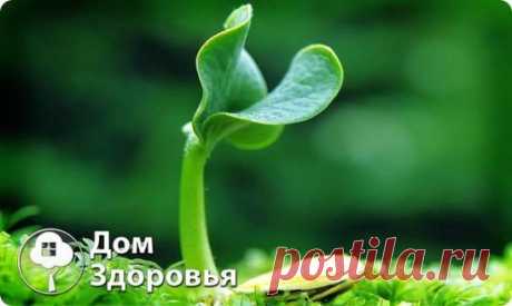 (1) Одноклассники