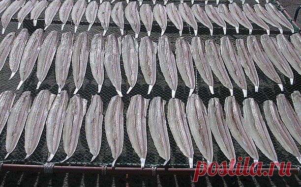 Из истории рыбной кухни | ДЕЛА ЖИТЕЙСКИЕ...
