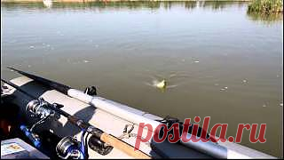 Рыбалка 2012 Ростов - YouTube