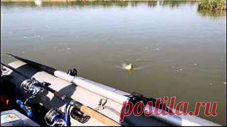 Рыбалка 2012 Ростов - YouTube