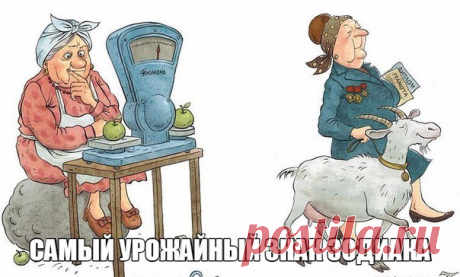 КАКОЙ ЗНАК ЗОДИАКА СОБИРАЕТ САМЫЙ БОЛЬШОЙ УРОЖАЙ