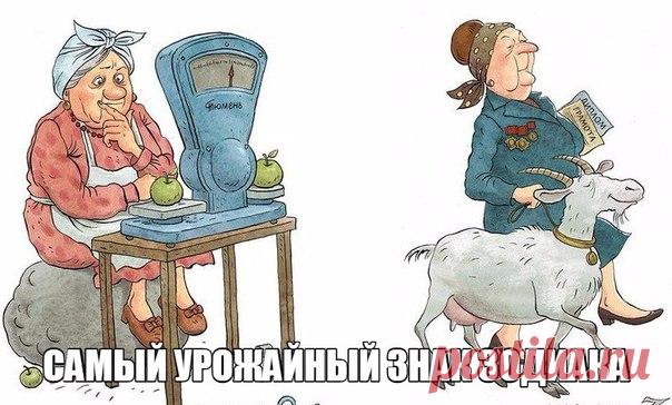 КАКОЙ ЗНАК ЗОДИАКА СОБИРАЕТ САМЫЙ БОЛЬШОЙ УРОЖАЙ