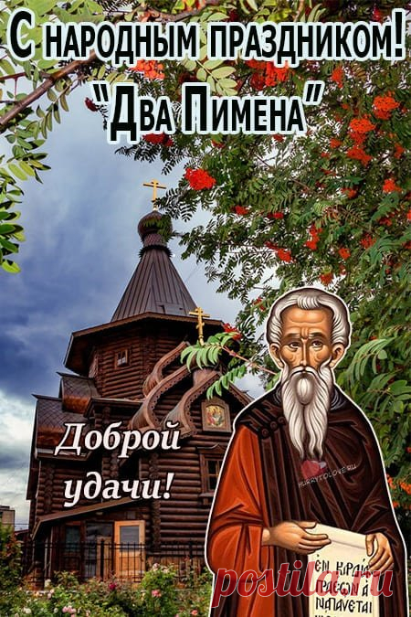 Рябина на огороде – к хорошему урожаю.