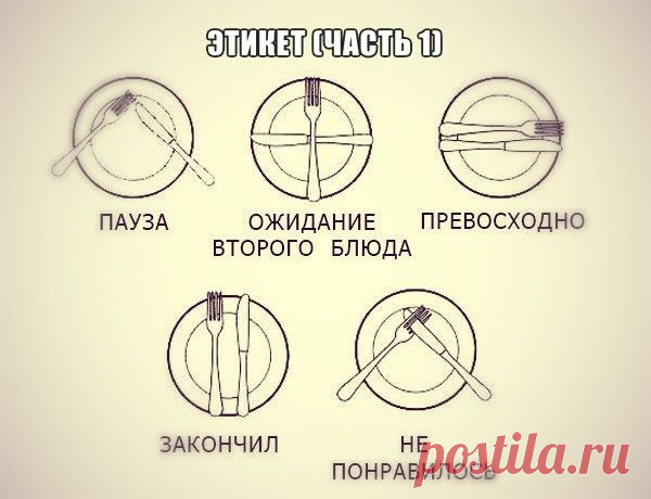 10 качеств воспитанного человека, не знать которые стыдно: | УМНИК | Группы Мой Мир