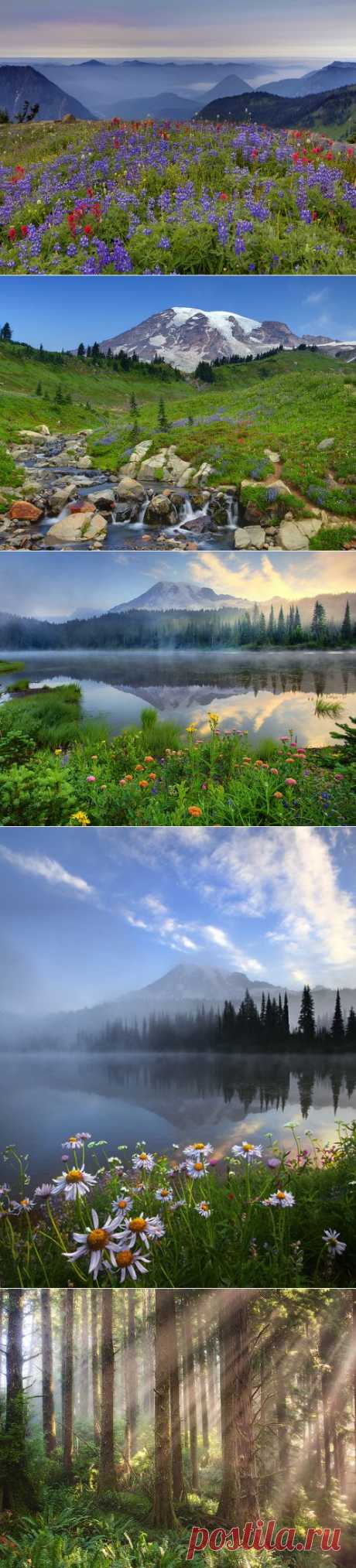 Kevin McNeal Photography | Where to get the latest info on landscape photography | Page 3