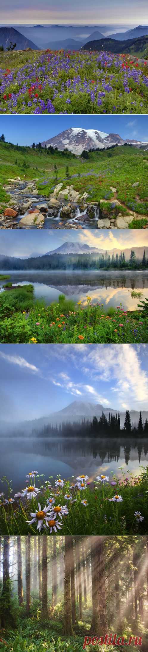 Kevin McNeal Photography | Where to get the latest info on landscape photography | Page 3