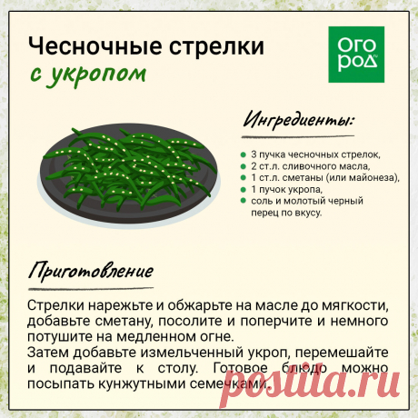 Чесночные стрелки с укропом