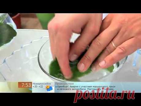 ▶ Листья каланхоэ при ожоге - YouTube