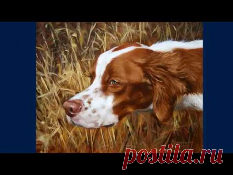 Боб Бертрам (Bob Bertram) родился в Кирквуде, штат Миссури в 1960 году.