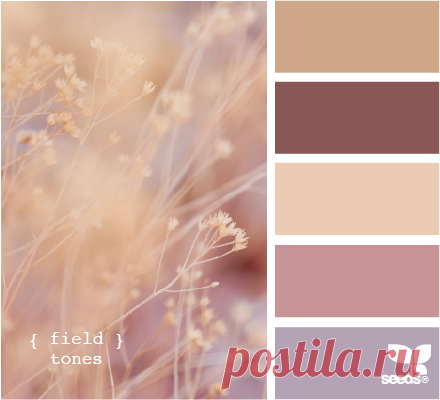 FieldTones510.png (440×400)