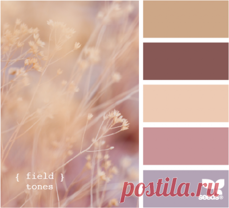 FieldTones510.png (440×400)