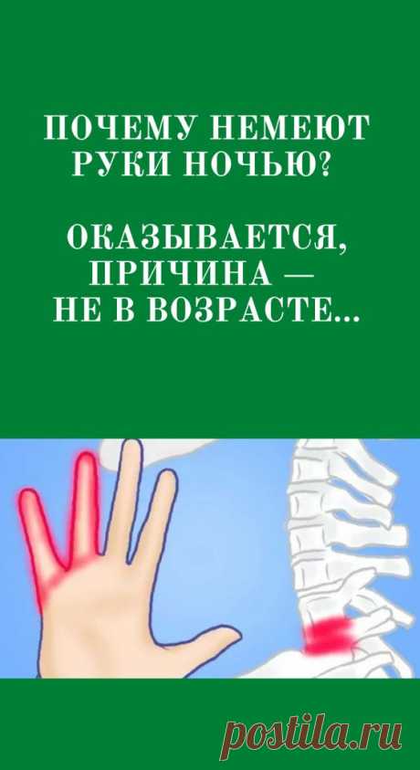 Почему немеют руки ночью? Оказывается, причина — не в возрасте… Многим людям, особенно представителям более старших возрастных групп, знакомо ощущение покалывания, «ползания...