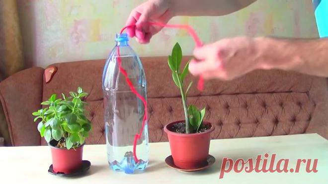 10 хитростей для упрощения жизни)