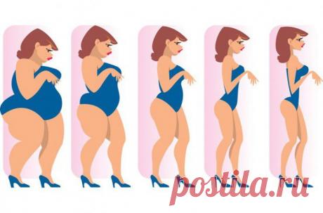 Диета Лесенка – новая супер методика похудения, позволяющая сбросить от 3 до 8 кг всего за 5 дней!