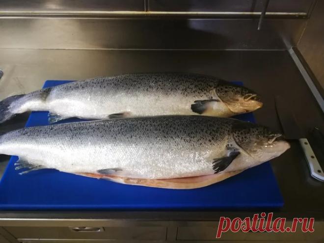 Повар на судне! Рецепты - Вкусно с Любовью - медиаплатформа МирТесен Все очень просят рецепты, значит будут рецепты. Сегодня начнём с лёгкого, как я солю семгу(форель).Форель я заказываю с головой потрошеную. Для начала её нужно разделать, чешую для засолки я не счищаю, если рыба пойдёт на стейки то тогда надо.Голову отрезаем под плавником, я сильно не стараюсь