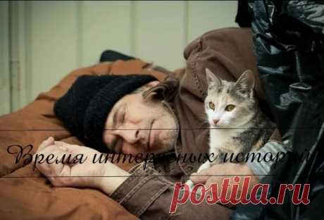 — Тоха, вставай, надо уходить отсюда. 
 
— С чего? Живём, никто не трогает. Ты лучше скажи – принёс что пoжрaть? 
 
— Тоха, пoжрaть я принёс, подсобил одному с разгрузкой. Вот он и сказал – мороз будет. Антициклон идёт. Минус 30 обещают. 
 
— Костер будем жечь. Первый раз что ли? 
 
— Где ты столько дров найдёшь? Замёрзнем. 
 
Антон выбрался из-под целой кучи старых шмоток. Они с приятелем всю осень собирали на помойках старые одеяла, пледы – всё, чем можно было укрыться. ...
