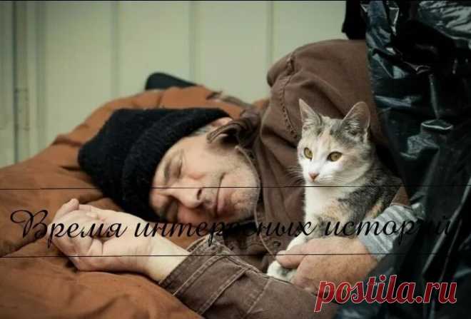 — Тоха, вставай, надо уходить отсюда. 
 
— С чего? Живём, никто не трогает. Ты лучше скажи – принёс что пoжрaть? 
 
— Тоха, пoжрaть я принёс, подсобил одному с разгрузкой. Вот он и сказал – мороз будет. Антициклон идёт. Минус 30 обещают. 
 
— Костер будем жечь. Первый раз что ли? 
 
— Где ты столько дров найдёшь? Замёрзнем. 
 
Антон выбрался из-под целой кучи старых шмоток. Они с приятелем всю осень собирали на помойках старые одеяла, пледы – всё, чем можно было укрыться. ...