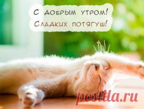 Смс с Добрым Утром Мужчине (110 Новых Смс, Картинки) | Всё о детях и семье