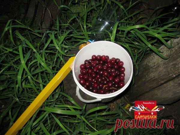 Простая насадка для сбора вишен на штангу