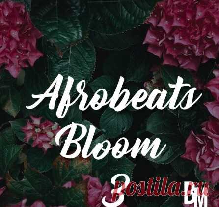 Download Beast Mode Afrobeats Bloom 3 [WAV] - Musicvibez | 22 May 2024 | 96.73 MB 'Afrobeats Bloom 3' by Beast Mode is equipped with the essential sounds and materials needed to create that smashing Afrobeat records. It comes with 60+ Files, including 69 WAV Loops inspired by Daddy Yankee, Maluma, Swae Lee, Nicky Jam, Wizkid, Burna Boy, Kizz Daniel, Davido, Tems, Buju, Omah Lay, Teni and more.