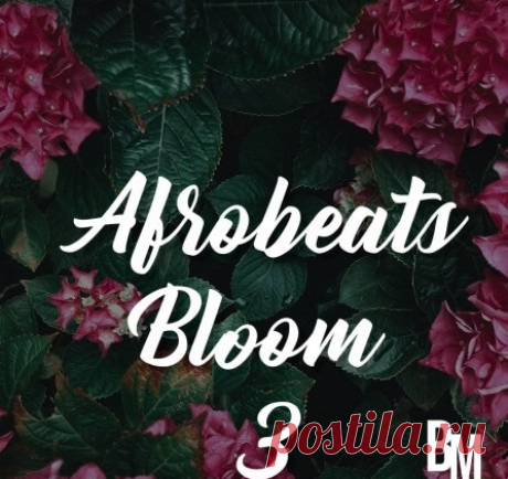 Download Beast Mode Afrobeats Bloom 3 [WAV] - Musicvibez | 22 May 2024 | 96.73 MB 'Afrobeats Bloom 3' by Beast Mode is equipped with the essential sounds and materials needed to create that smashing Afrobeat records. It comes with 60+ Files, including 69 WAV Loops inspired by Daddy Yankee, Maluma, Swae Lee, Nicky Jam, Wizkid, Burna Boy, Kizz Daniel, Davido, Tems, Buju, Omah Lay, Teni and more.