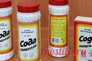 СОДА В ОГОРОДЕ