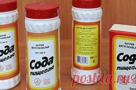 СОДА В ОГОРОДЕ