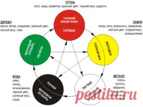 ДВИЖЕНИЕ ГНЕВА ПО КАНАЛАМ ТЕЛА ЧЕЛОВЕКА Гнев и... - Философия Счастья