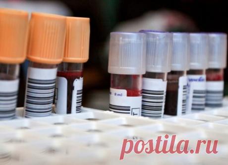 10 вопросов о человеческом теле, на которые наука пока не может ответить