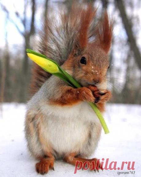 (1) 🌺ДУШЕВНЫЙ РАЗГОВОР🌺