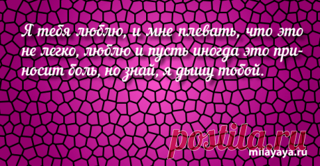 Красивый статус со смыслом в картинках из жизни для женщин (картинка 225) . Милая Я