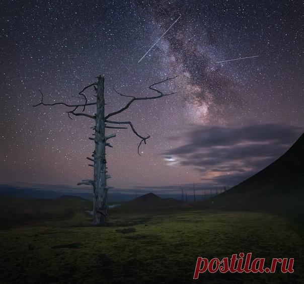 «Зачарованный страж» «Фотография сделана в районе вулкана Плоский Толбачик в Мертвом Лесу на Камчатке. В 1975 году здесь началось сильное извержение, которое продолжалось около полутора лет. Большое количество пепла и различных вулканических обломков было выброшено вверх на несколько километров. Также во время извержения на поверхность земли вылилось большое количество лавы. Она спустилась по склонам вулкана и покрыла площадь 45 квадратных километров. Хотя пепел накрыл деревья и выжег их до…