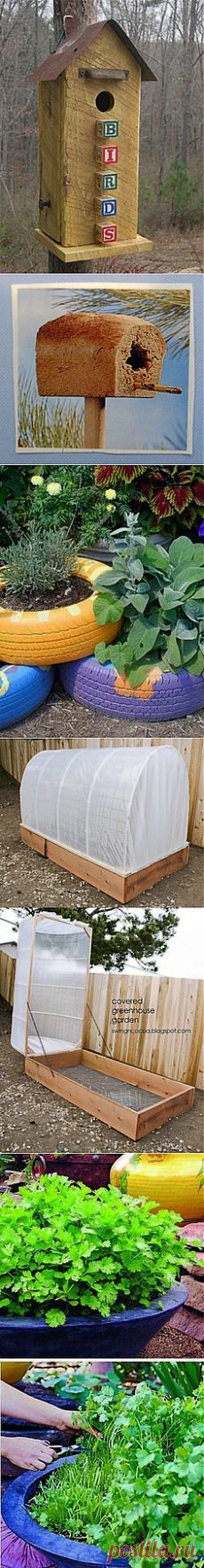 Gardening on Pinterest - flowers, cacti and other growing ideas