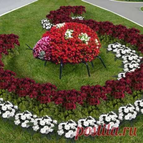 Цветочные клумбы