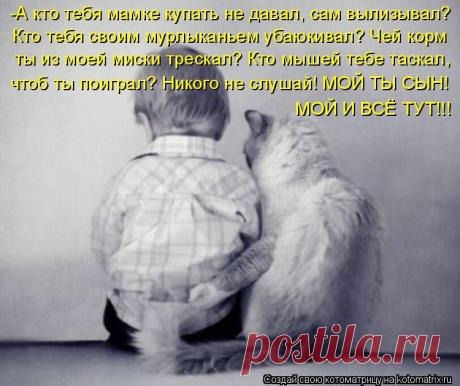 Котоматрица: Круть