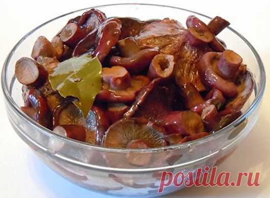 Прекрасная закуска : Соленые грузди