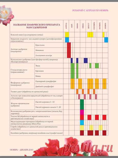 (72) Ирина Алехина - Ирина Алехина добавила новое фото.