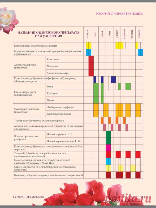 (72) Ирина Алехина - Ирина Алехина добавила новое фото.
