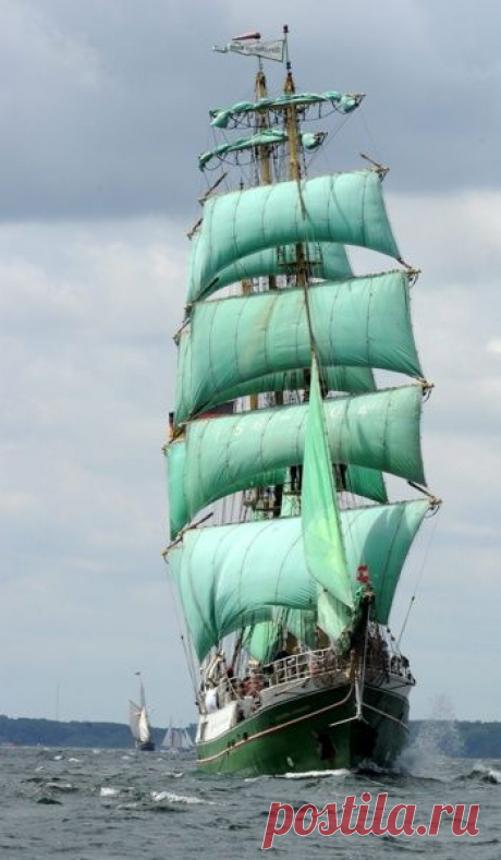 (38) Pinterest