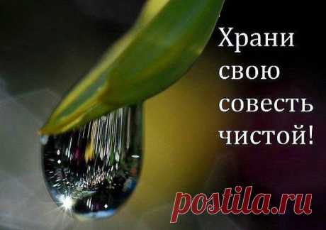 Когда-нибудь судьба тебя прижмёт.
И ты задашь вопрос: -&quot;За что всё это?»
И в непонятках напряжёшь свой мозг,
И будешь ждать от Господа ответа.
На твой вопрос ответ так будет прост:
&quot;Живи любя, без лжи и мести.
Твори добро, не делай людям зла.
Живи по совести и чести.&quot; и помни (когда есть за что):